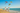 Kites & Windmills