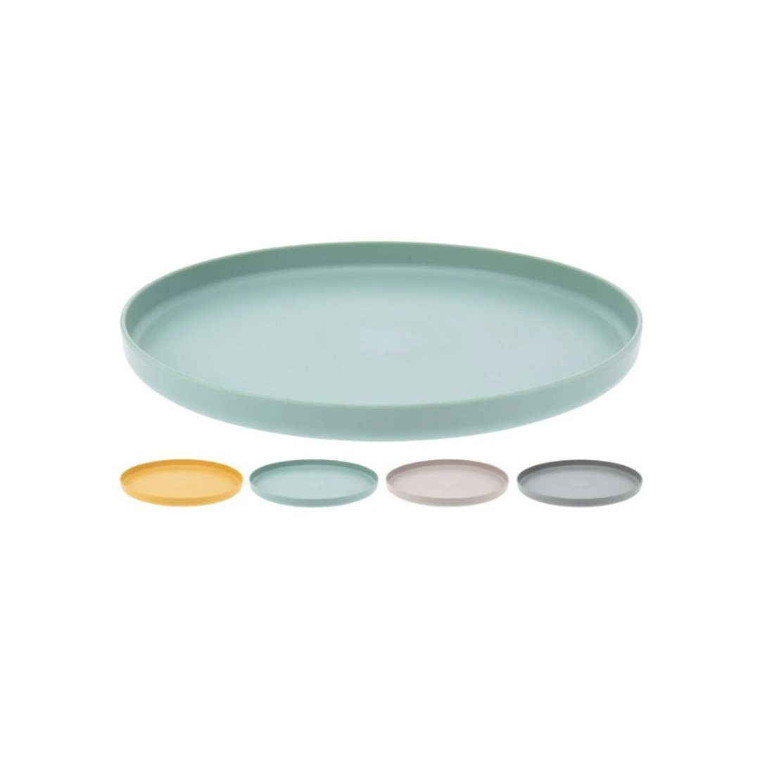 Recycled 25cm Picnic Plate