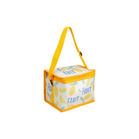 Insulated Snack Cool Bag 4L