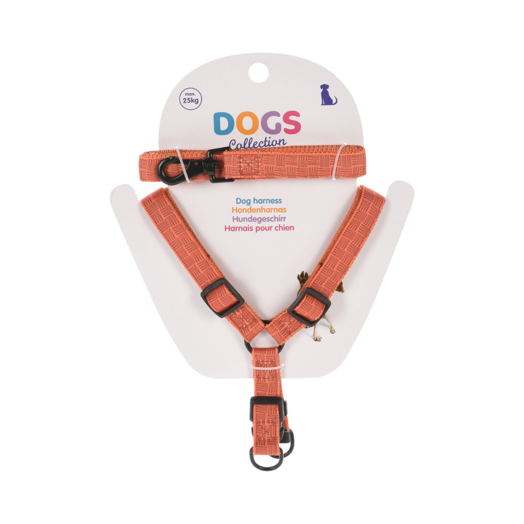 Dog Lead & Harness