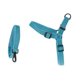 Dog Lead & Harness