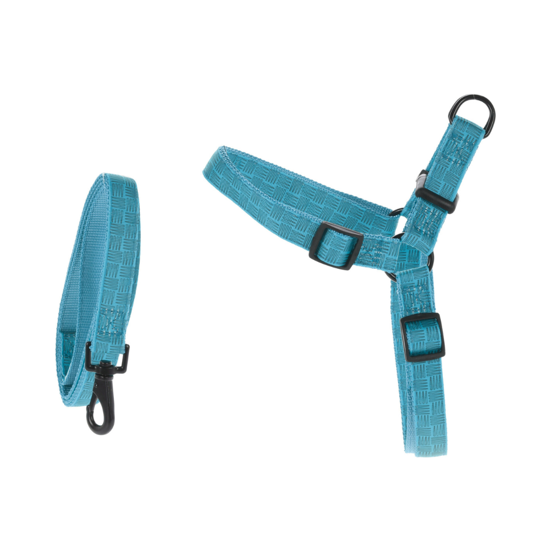 Dog Lead & Harness