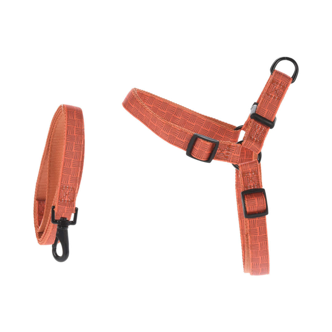 Dog Lead & Harness