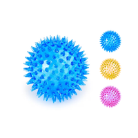 Spikey Dog Ball with Squeeker