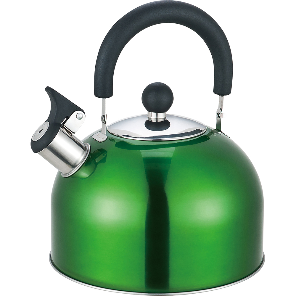 2.5 Litre Stainless Steel Whistling Kettle with Folding Handle - Assorted Colours
