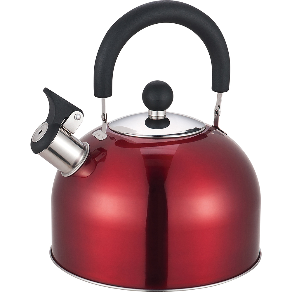 2.5 Litre Stainless Steel Whistling Kettle with Folding Handle - Assorted Colours