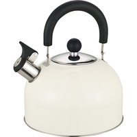 2.5 Litre Stainless Steel Whistling Kettle with Folding Handle - Assorted Colours