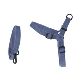 Dog Lead & Harness