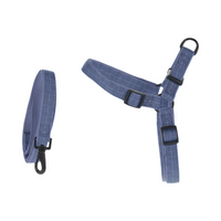 Dog Lead & Harness