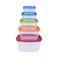 Storage Box Set (5 Pieces)