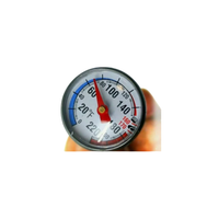 Meat Thermometer