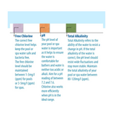 Clearwater 50 Test Strips