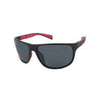 Evolution Sunglasses Bundle (21 units & free display)