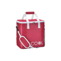 Everyday Cool Bag 18L