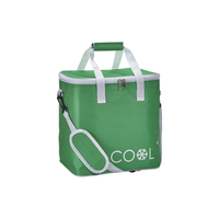 Everyday Cool Bag 18L