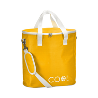 Everyday Cool Bag 24L