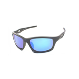 Evolution Sunglasses Bundle (21 units & free display)