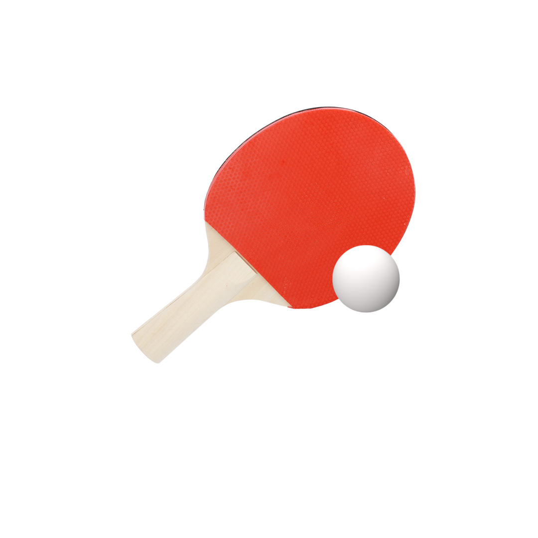 Table Tennis Set