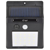 Solar garden light.jpg
