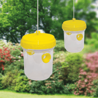 St-Helens-Home-and-Garden-Non-Toxic-Flying-Insect-Trap-Pack-Of-2-3.png