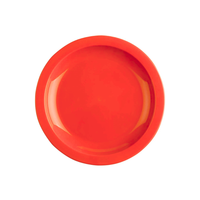 Polyproplene Picnic Plates 25cm