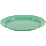 Deluxe Reusable Plate 25cm
